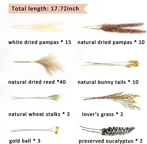 Bushland Bloom Pampas Bouquet Set