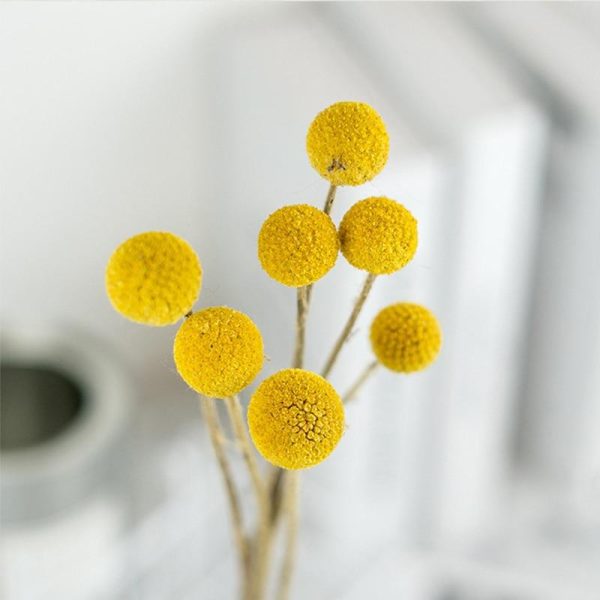 'Orbs' Flower