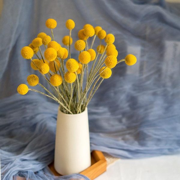 'Orbs' Flower